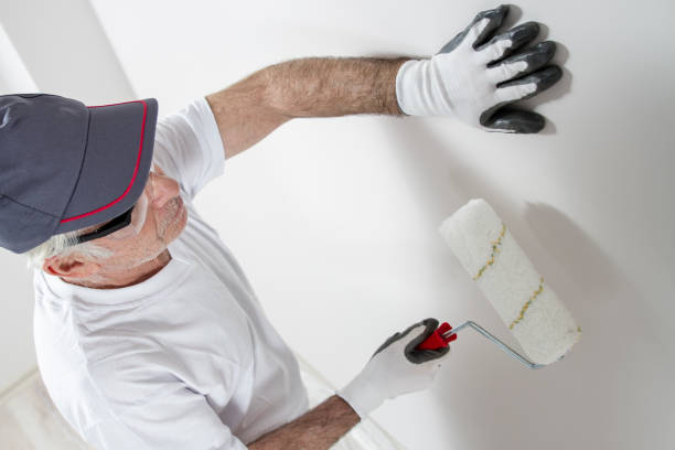 Best Wallpaper Removal and Painting  in Ruskin, FL